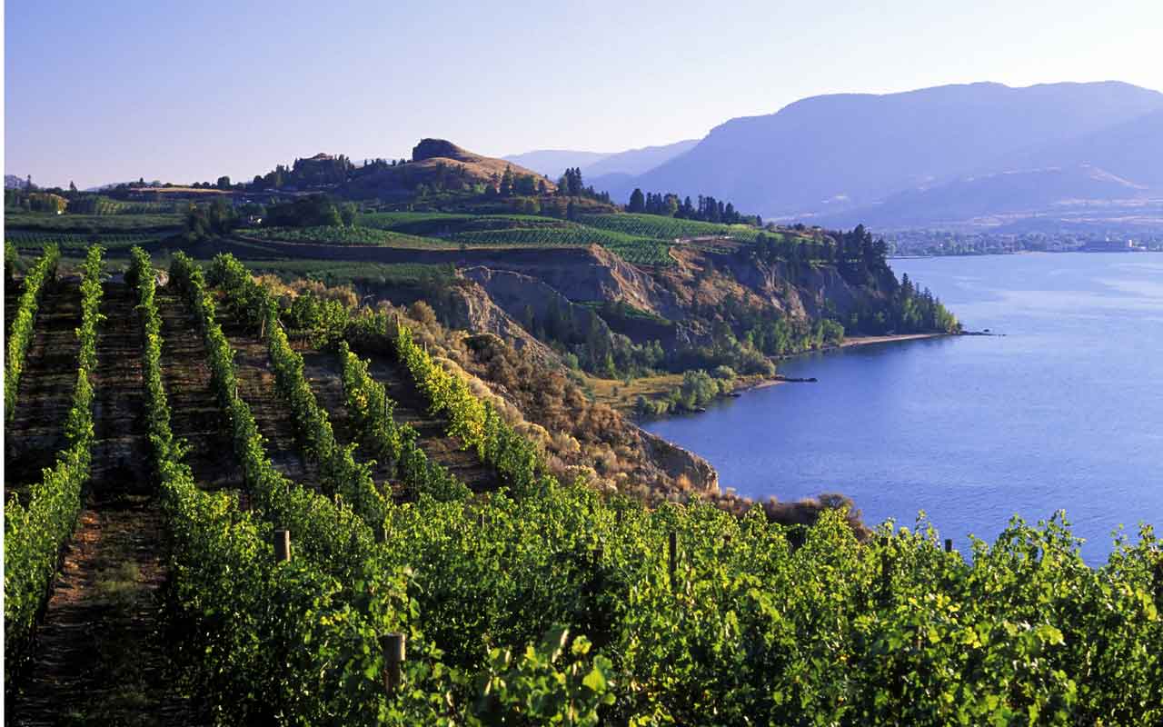 Naramata Bench Wineries